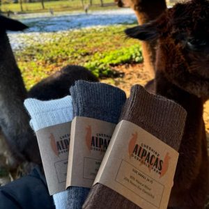 Alternative view of Alpaca socks