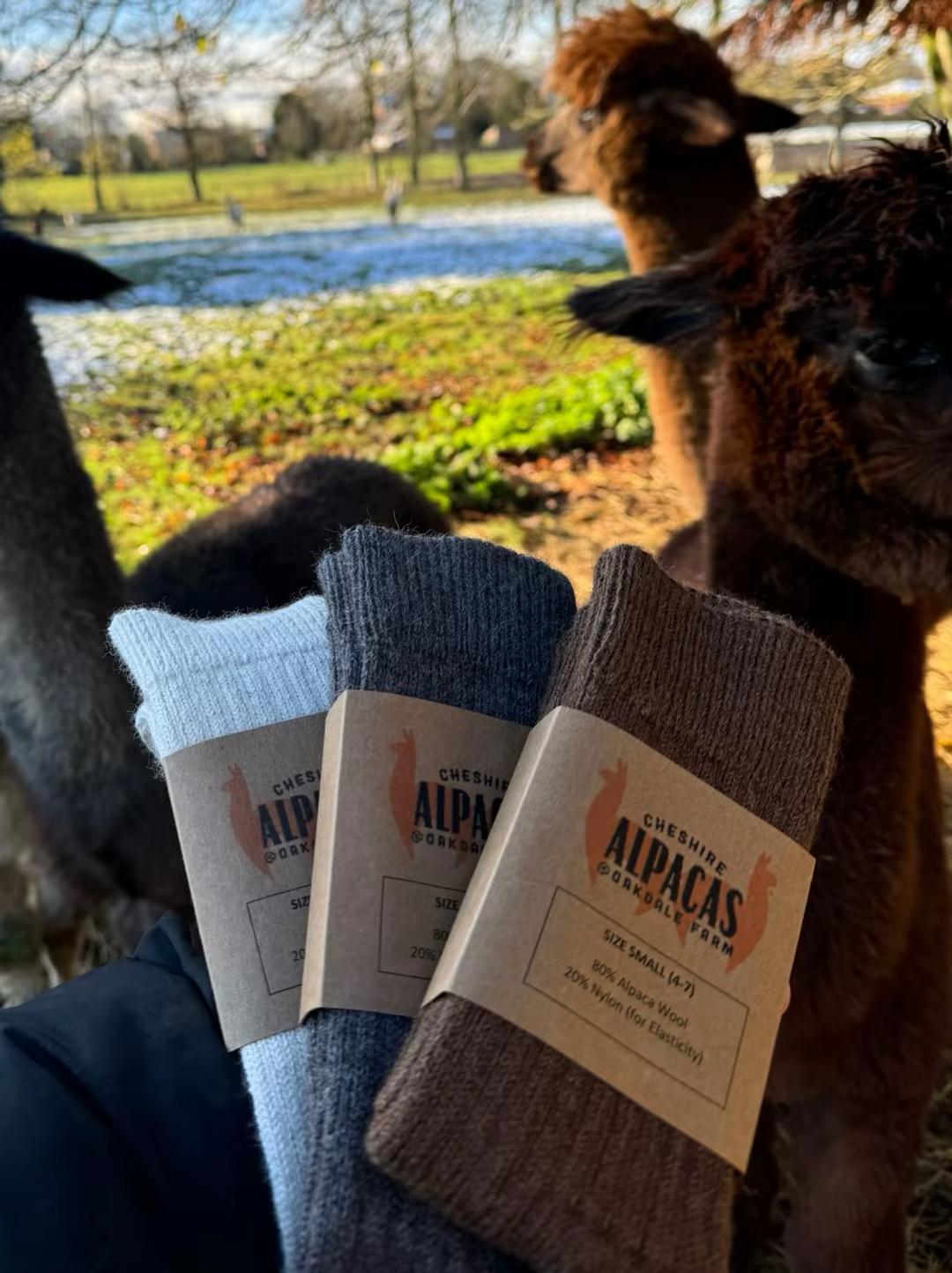 Alpaca socks - Image 2