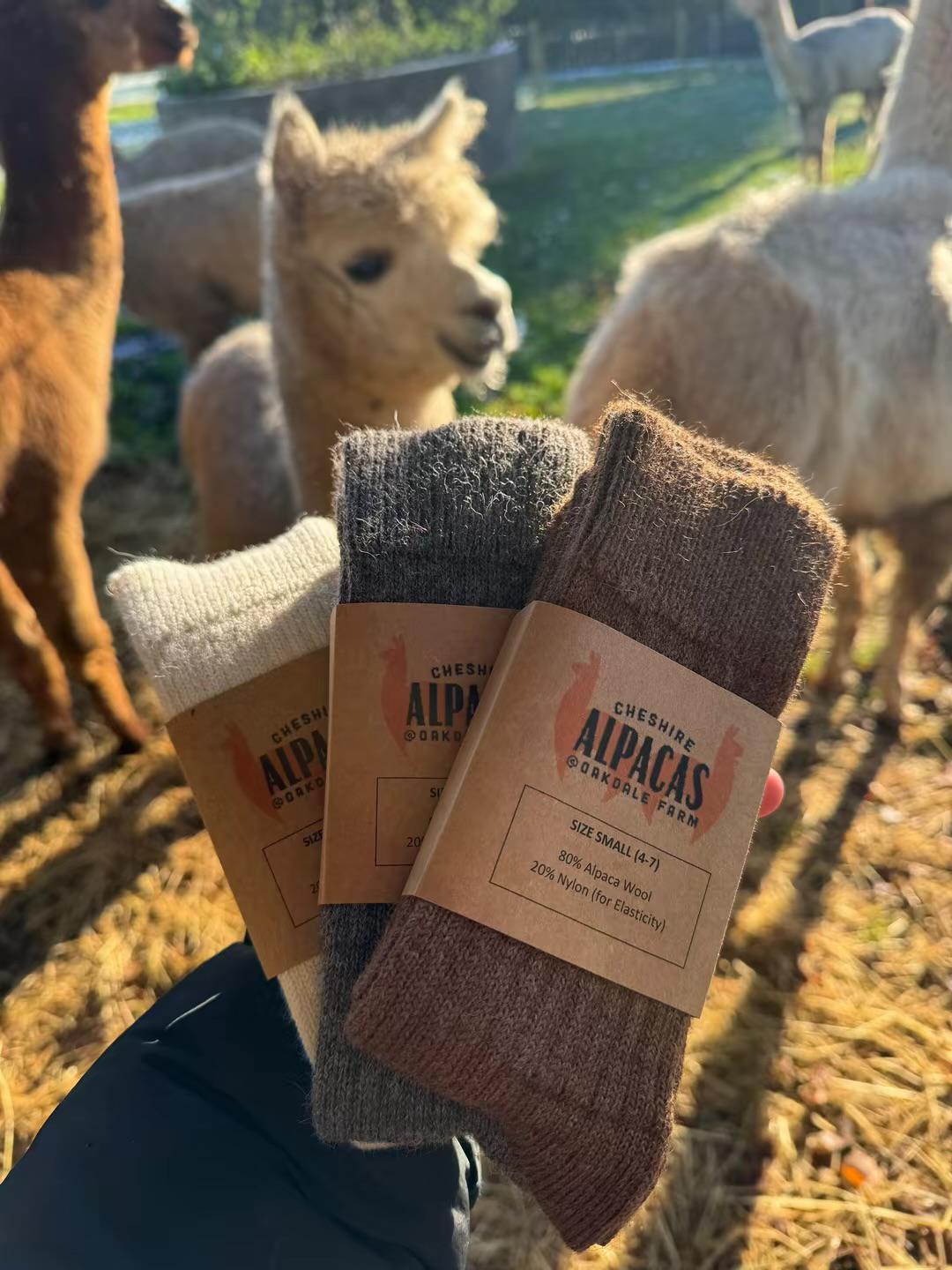 Alpaca socks - Image 3